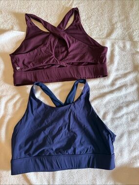 Fabletics Cross-Back Sports Bras in Plum and Navy